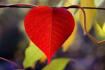 381789_336258873060046_333222610030339_1256483_1484180655_n