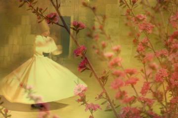 558386_440269706046483_367614937_n