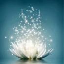 543929_506292192787913_1212736040_n