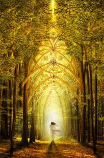 552180_319402394819999_841045926_n